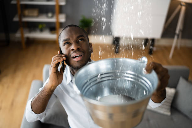 Best Water damage restoration near me  in Pretty Bayou, FL