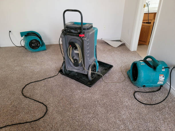 Best Basement water damage restoration  in Pretty Bayou, FL