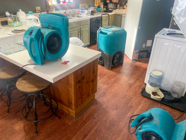 Best Fire Damage Restoration  in Pretty Bayou, FL