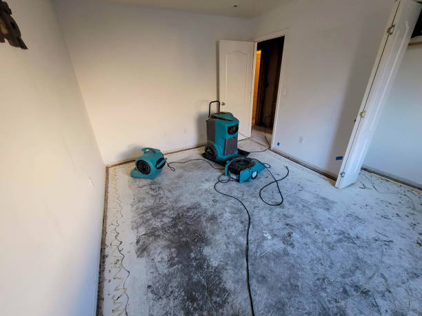 Best Sewage cleanup and water damage restoration  in Pretty Bayou, FL