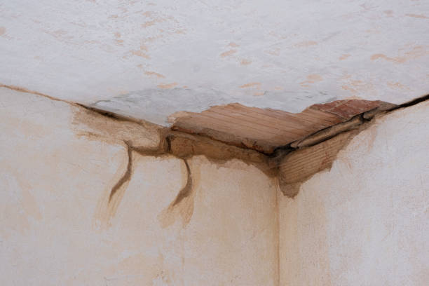 Reliable Pretty Bayou, FL Water damage restoration Solutions