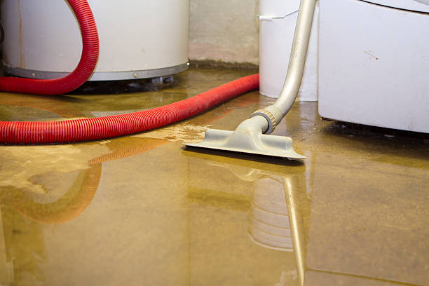 Best Water damage cleanup near me  in Pretty Bayou, FL