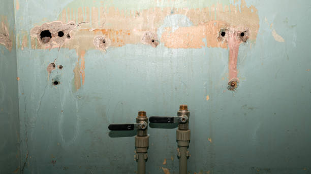 Best Water damage restoration near me  in Pretty Bayou, FL