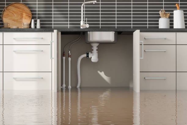 Reliable Pretty Bayou, FL Water damage restoration Solutions