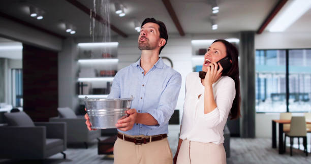 Best Local water damage restoration  in Pretty Bayou, FL