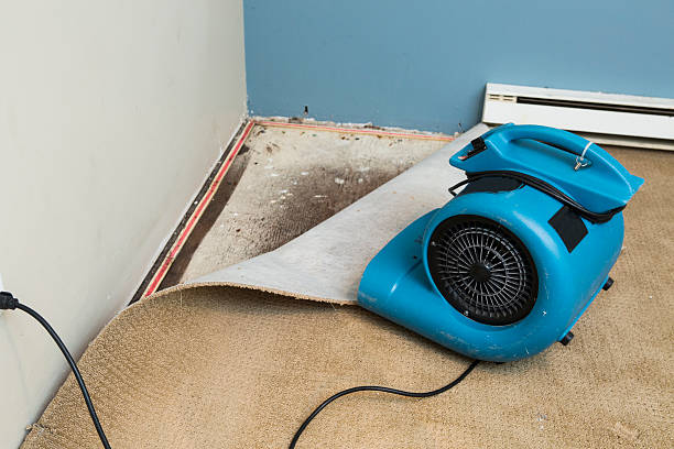 Best Water damage repair service  in Pretty Bayou, FL